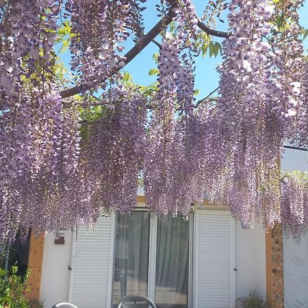 Perais Casa Dos Gansos 빌라 외부 사진