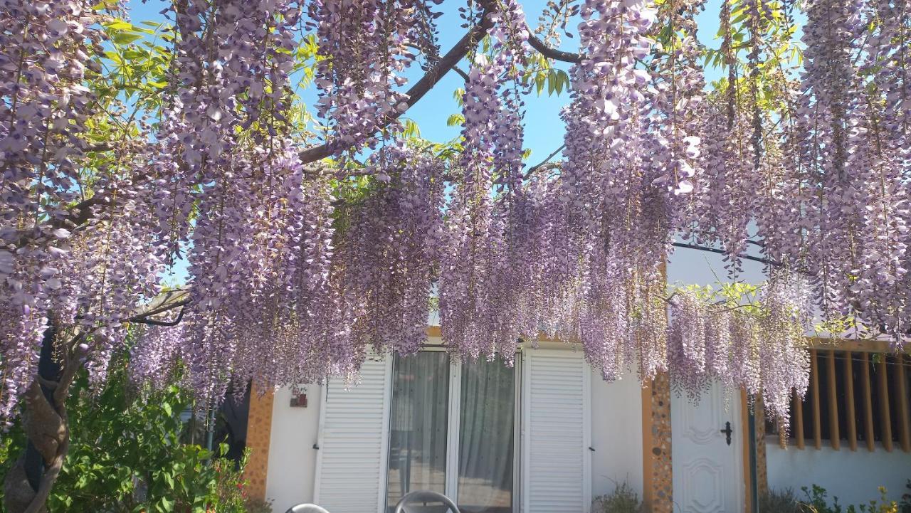 Perais Casa Dos Gansos 빌라 외부 사진