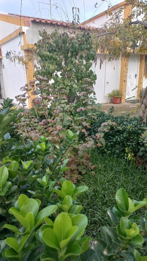 Perais Casa Dos Gansos 빌라 외부 사진